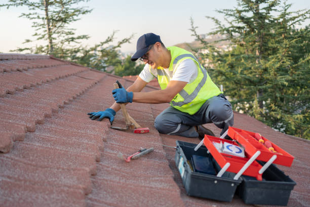 Best Roof Ventilation Installation  in Wlow Springs, IL